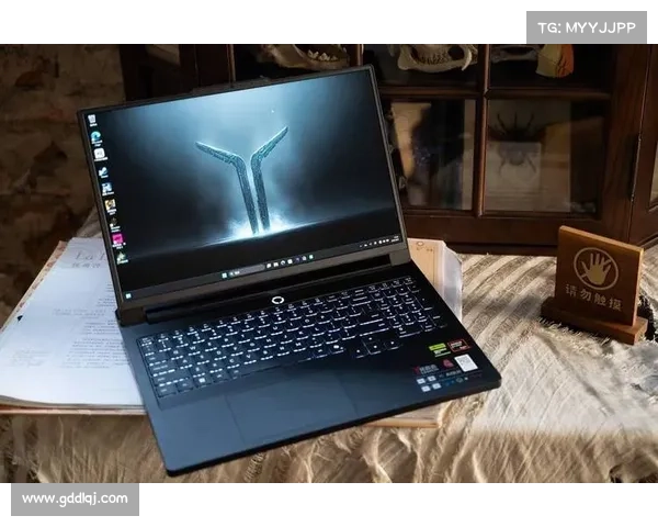 推荐几款搭载6650显卡的高性能游戏笔记本适合不同需求的玩家 推荐几款搭载6650显卡的高性能游戏笔记本适合不同需求的玩家