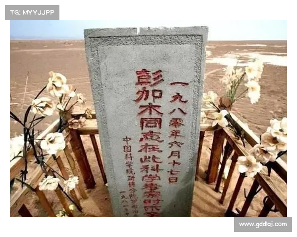 深度揭秘尘封已久的故事谜团 揭示背后错综复杂的剧情与真相 深度揭秘尘封已久的故事谜团 揭示背后错综复杂的剧情与真相
