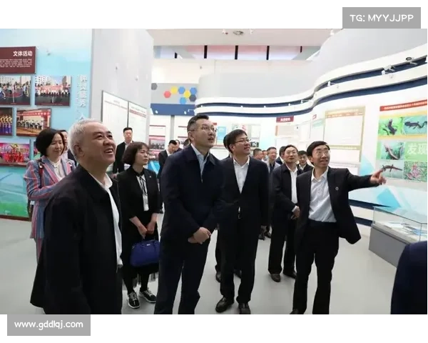 巴舒亚伊常用语言的五大特点全面解析与交流风格探秘